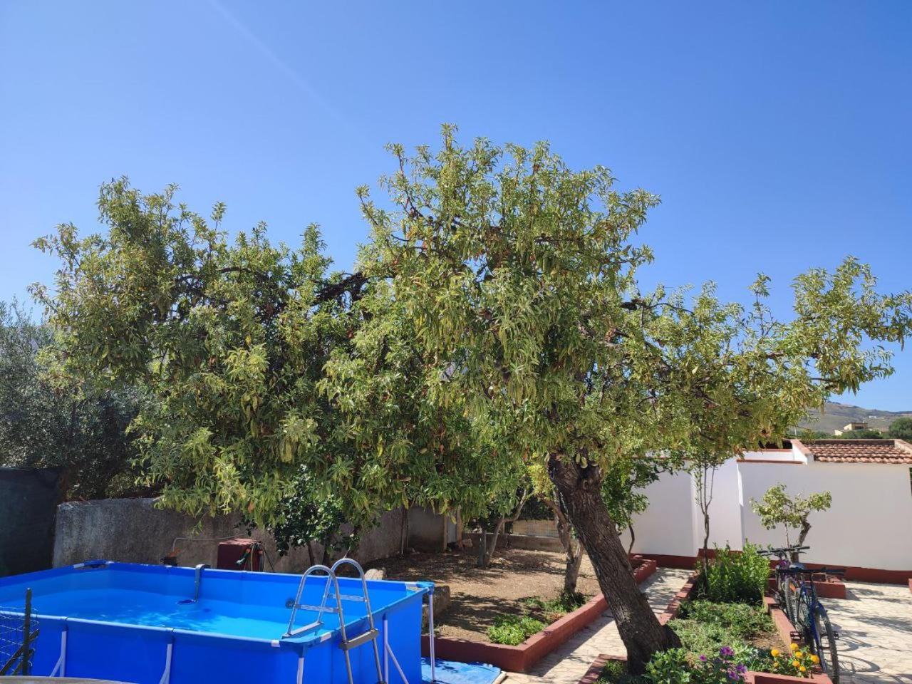 Villa Rosa Castellammare del Golfo Exterior photo